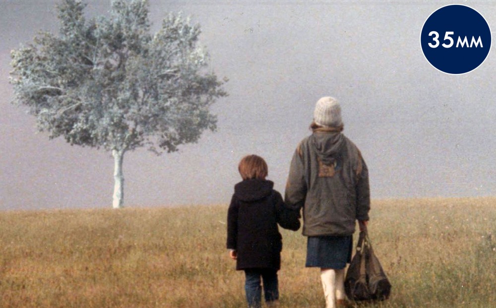 Two children hold hands, their backs to the camera, and walk towards a tree in a field.