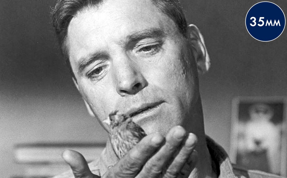 Close-up on actor Burt Lancaster's face; he gazes at a small bird that is perched on his hand.