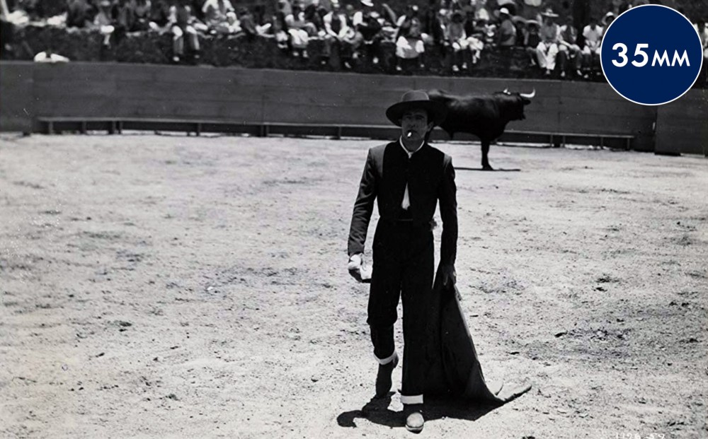 An audience watches a bullpen; the matador and a bull are on either side of the pen, seemingly ignoring each other.