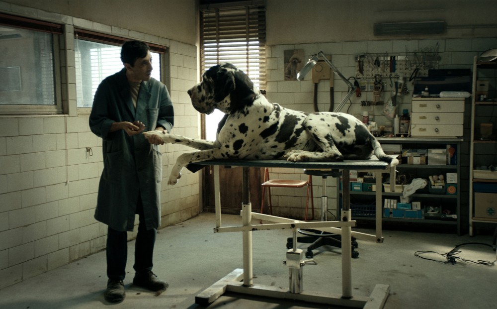 Actor Marcello Fonte at a dog grooming salon, trimming the nails of a very large dog.