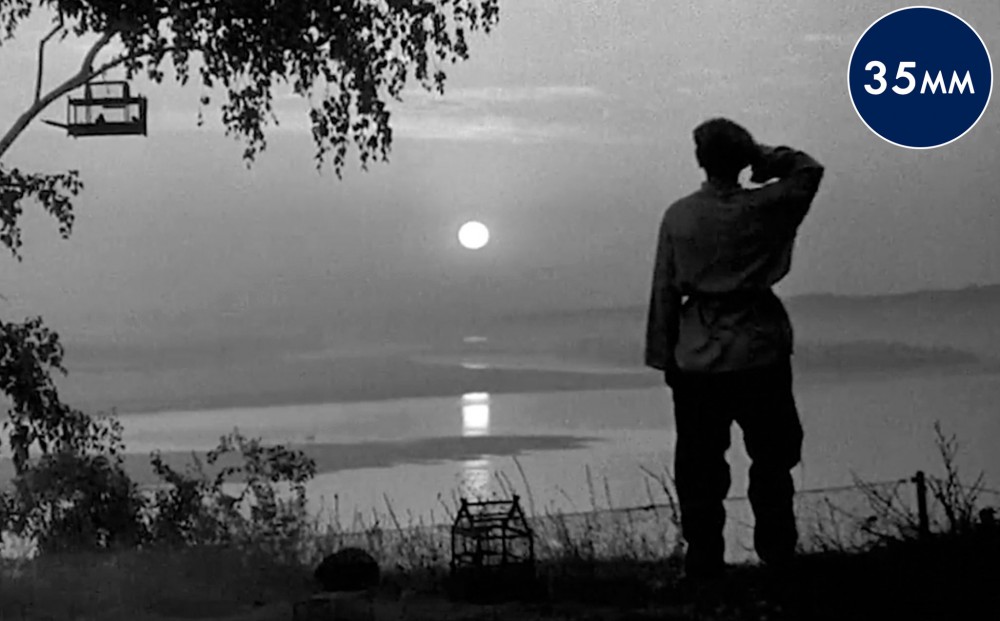 Silhouette of a man looking out over a landscape, his back to the camera.