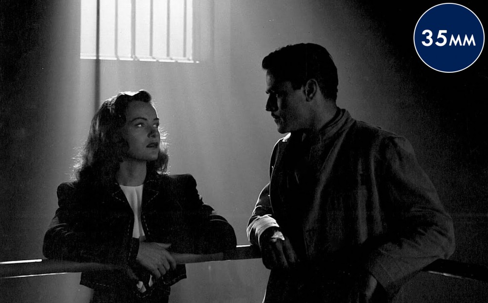 Light streams in through a window covered in bars, shining down on a man and woman who stand together in a dark space.