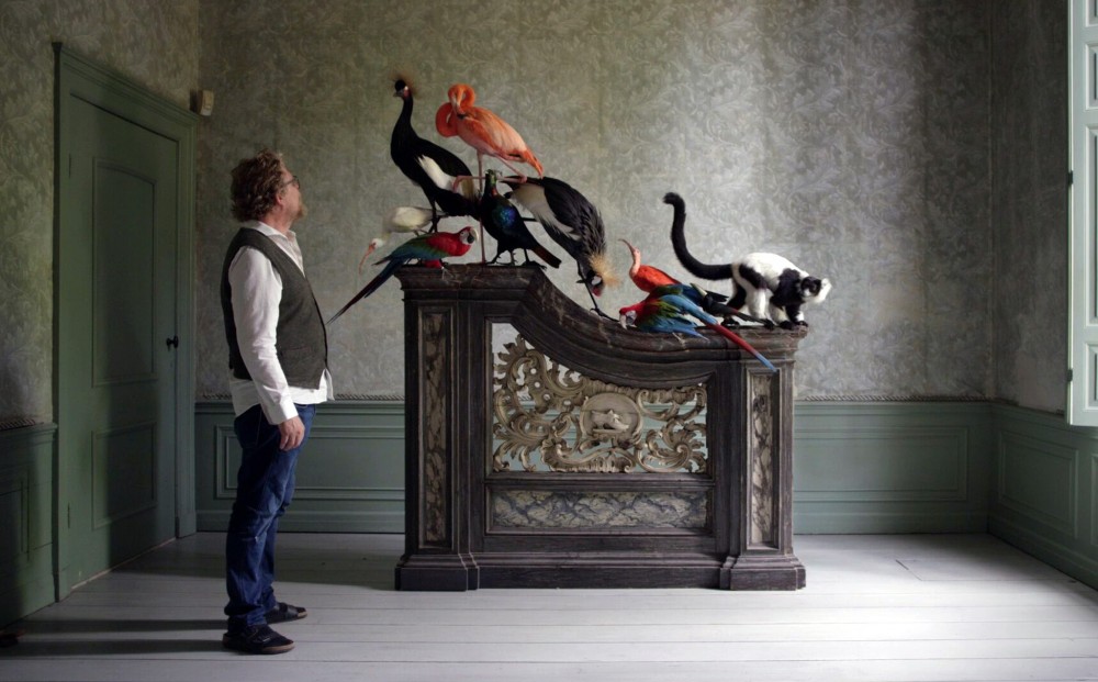 A man gazes at a cluster of taxidermy birds, perched on a structure in an otherwise empty room.