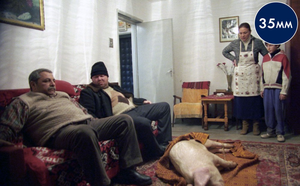 Two men sit on a couch; a pig lays on the rug in front of them, and a woman and a child stand to the side, looking at it.