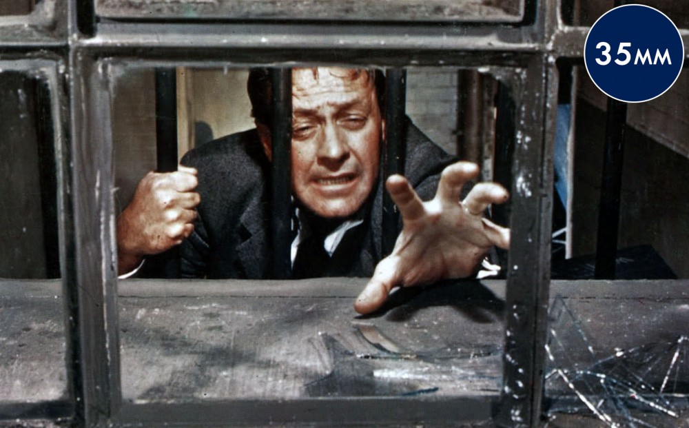 Actor William Holden reaches desperately towards a window from behind bars.