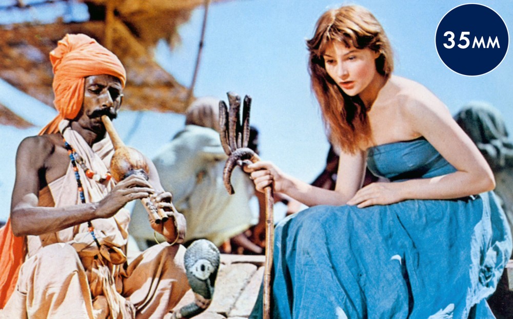 A woman sits next to a snake charmer, and looks at his snake in amazement.