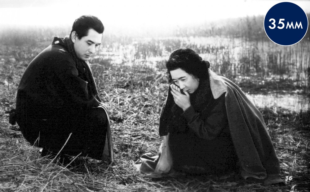 A man and woman kneel in a field, looking forlorn, both wearing black.