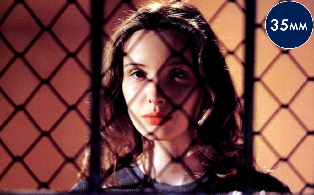 Actor Julie Delpy looks out through a chain link fence.