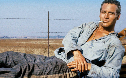 COOL HAND LUKE <br/> Post-film conversation with Melissa Newman, daughter of Paul Newman and Joanne Woodward, and film historian Foster Hirsch