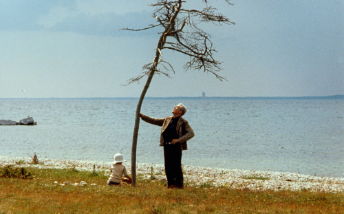 Andrei Tarkovsky's <br>THE SACRIFICE